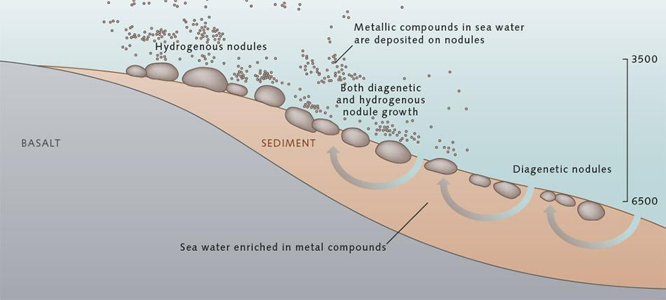 Manganknollene starter med en kjerne som utfelte mineraler kan feste seg på, for eksempel en del av et snegleskjell. Dette kan man se på figur 2.3.1, hvor kjernen er en liten stein.