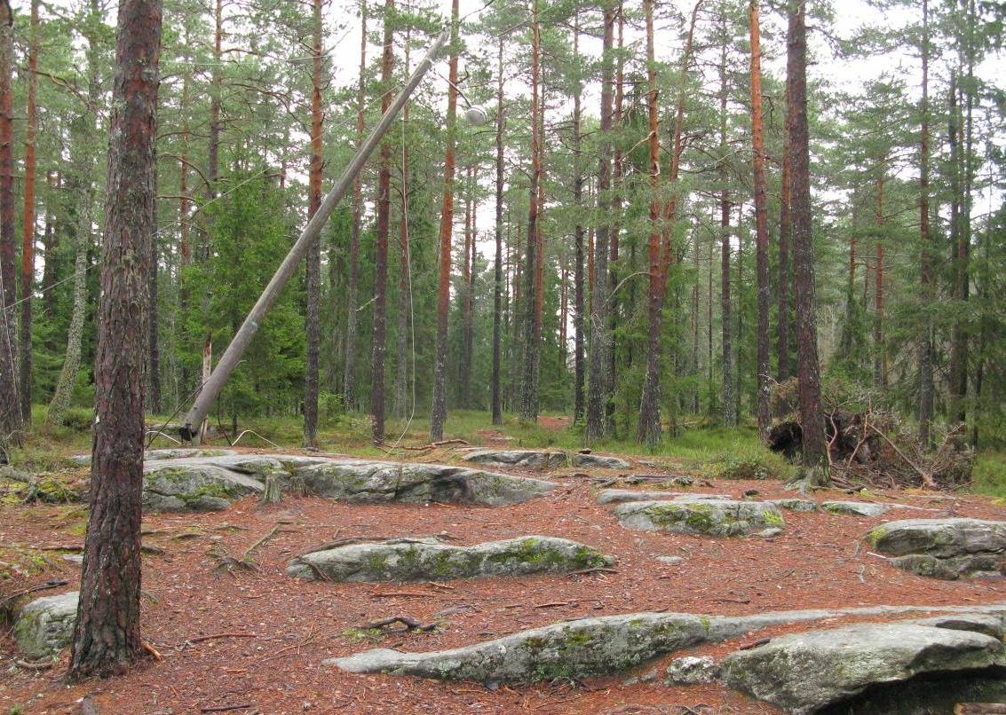 917 Undersøkelse av naturverdier i forbindelse med