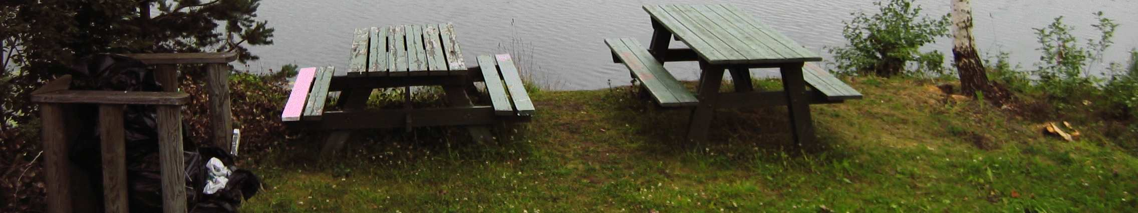 området vesentlig og ikke være til skade for fuglelivet i strandsonen.