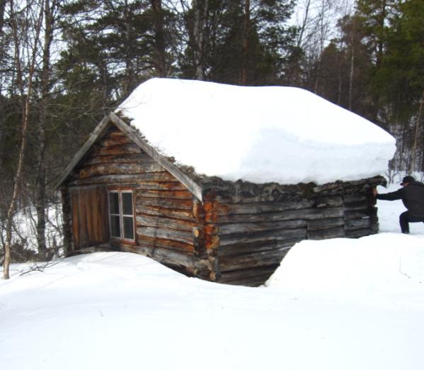 av disse ble restaurert på 1980-tallet av Statskog i samarbeid med kulturminneforeninger/historielag og lokale entusiaster. Det gjelder bl.a. Granneset, Stormdalsgården og steinstuene ved Krukki og Nordre Bjøllåvatn.