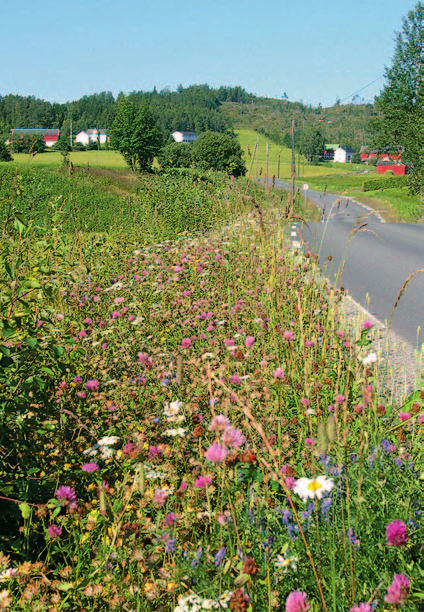 Naturen nr. 5 2004 288 og forurensning fra jordbruket. Dagens jordbruksdrift har ført til en nedgang i antallet og kvaliteten av kantsonene.