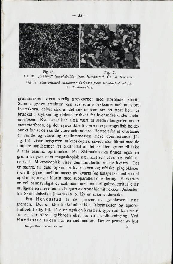 33 Fig. 16. Fig. 17. Fig. 16. Gabbro" (amphibolite) from Hovdastad. Ca. 20 diameters. Fig. 17. Fine-grained sandstone (arkose) from Hovdastad school. Ca. 20 diameters. grunnmassen være særlig grovkornet med storbladet kloritt.