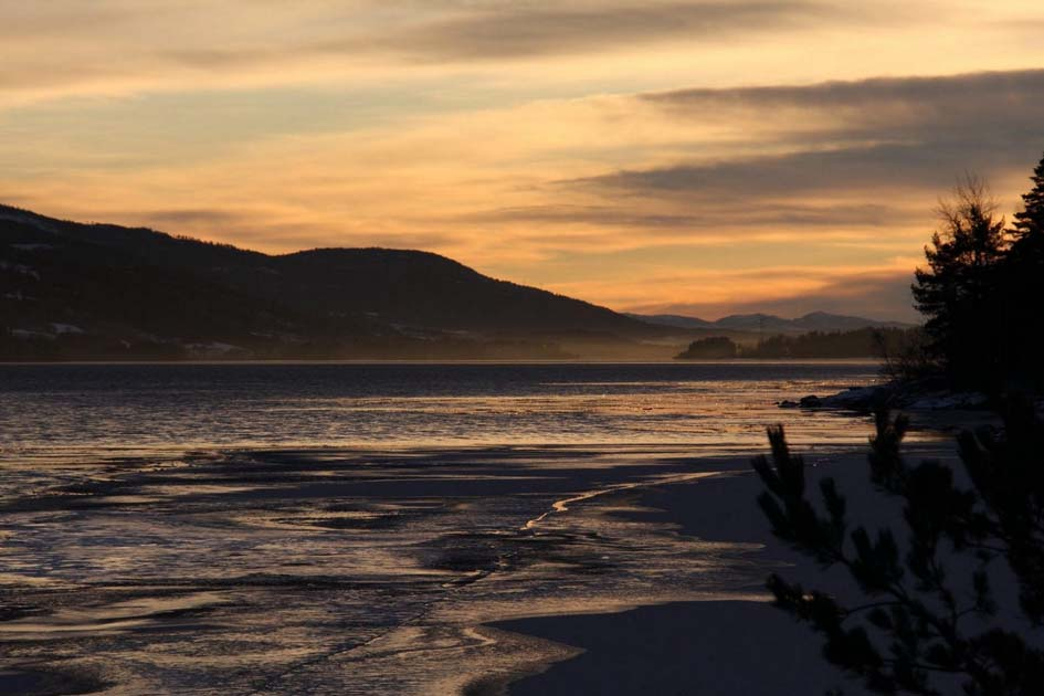 Tyrifjorden Antall overvintrende vannfugl i Tyrifjorden varierer mye med isforholdene, og når de mest attraktive beiteområdene for svaner og ender fryser tidlig slik som i 2009 er det nesten bare