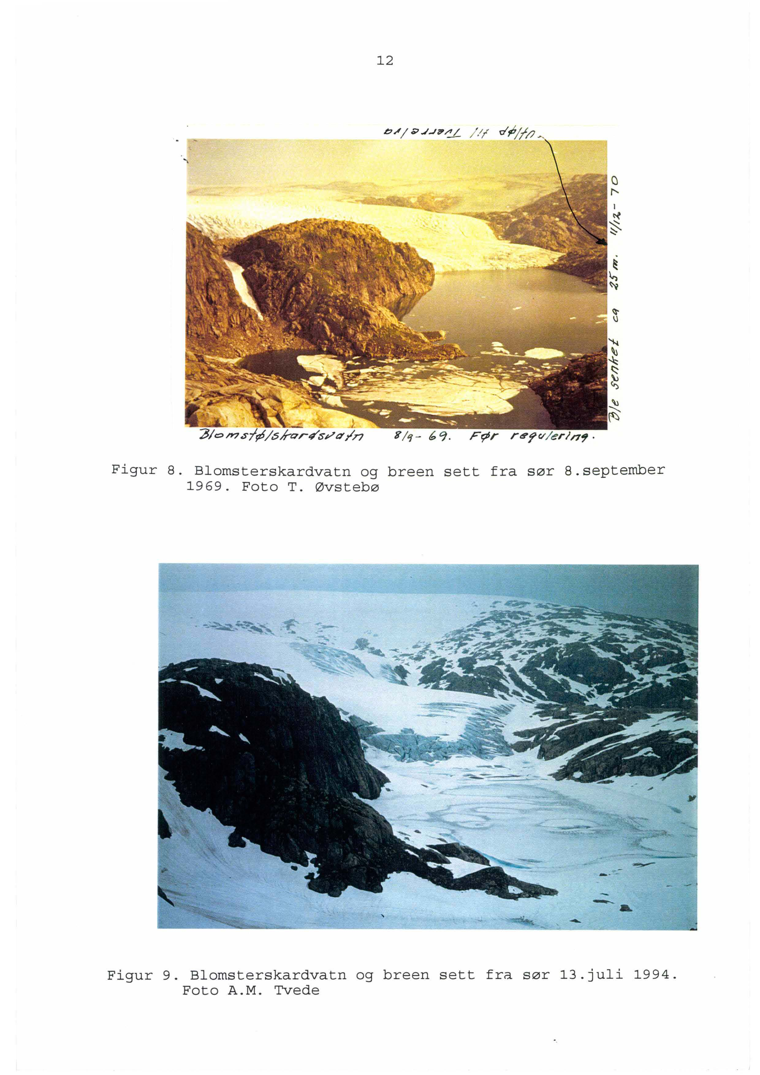 12 Figur 8. Blomsterskardvatn og breen sett fra sør 8.september 1969. Foto T.
