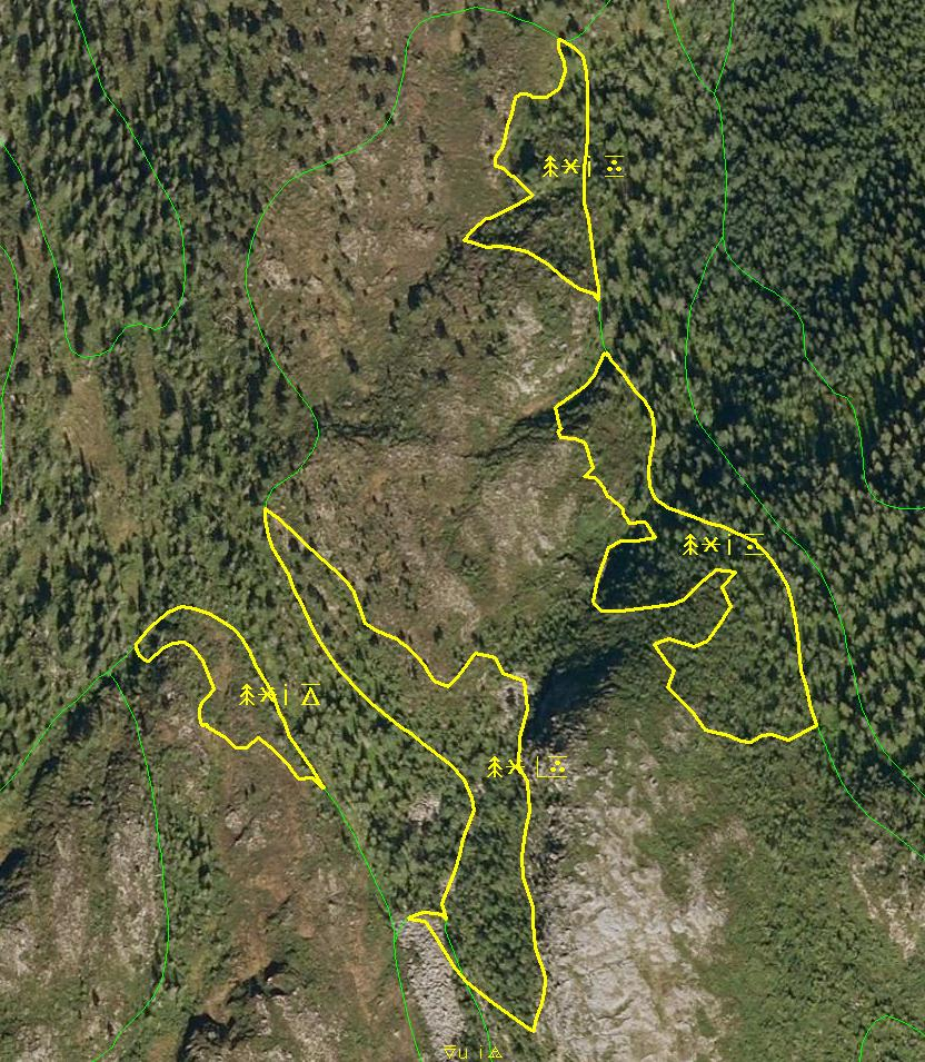 Namdalseid kommune endringer fra åpen fastmark til skog. 4.2 Kvalitet NIBIO har gjort noen tester mot vegetasjonskart.