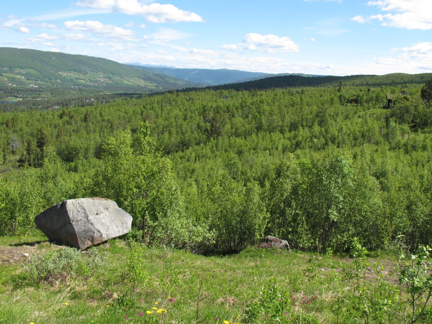 Planbeskrivelse 5 2 PLANOMRÅDET, EKSISTERENDE FORHOLD 2.1 Beliggenhet og størrelse Planområdet grenser til hyttefeltet Kikut Nord på Geilo. Planområdet er på ca. 100 daa.