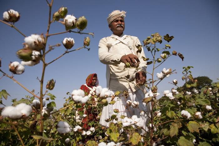 Mer bærekraftig bomull - samarbeid med WWF og tekstilvirksomheter -