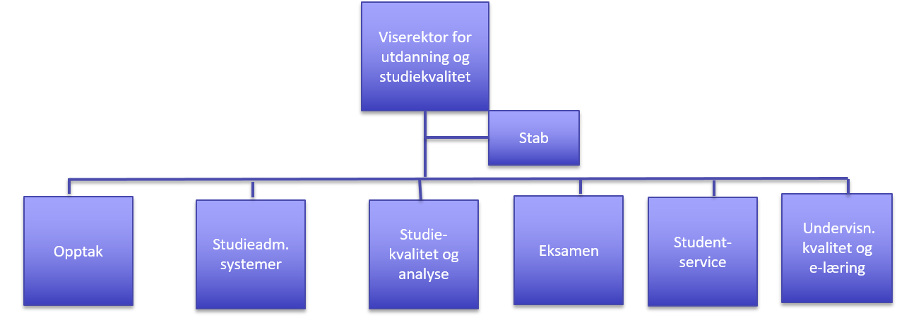 Bakgrunnen for en slik organisering er ifølge HSN blant annet at de administrative oppgavene krever et så robust administrativt fagmiljø, både med hensyn til kompetanse og volum, at høgskolen