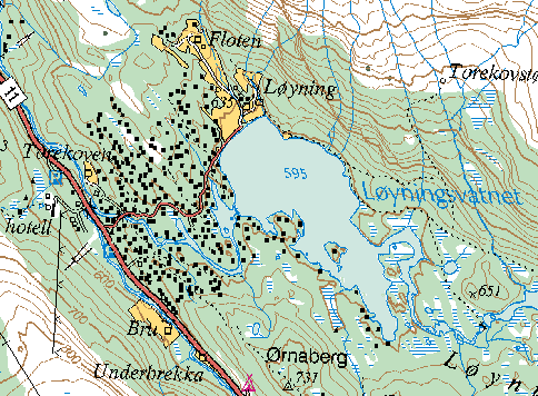 TOREKOVEN, ODDA KOMMUNE Statusrapport og forslag