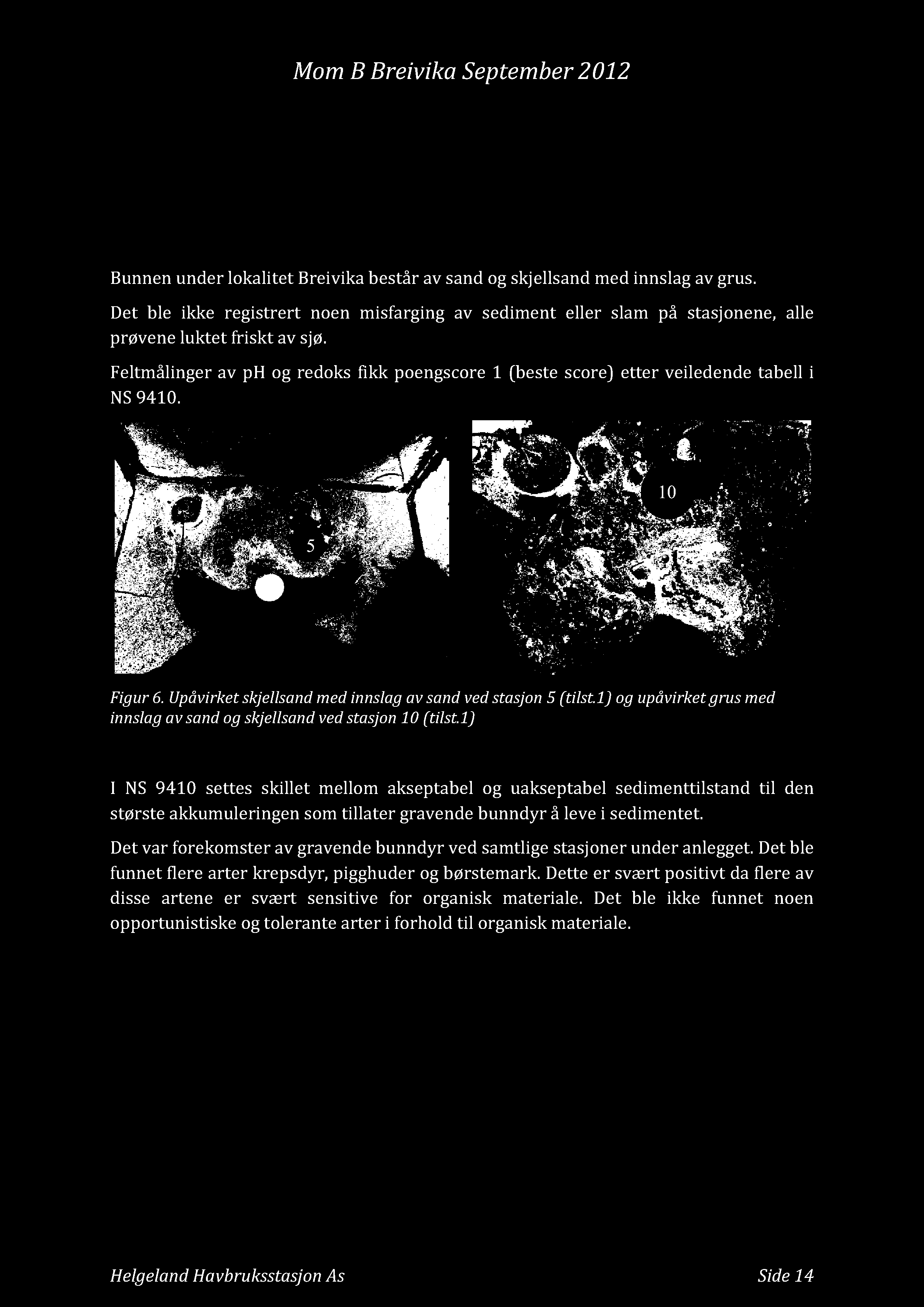 Feltmålinger av ph og redoks fikk poengscore 1 (beste score) etter veiledende tabell i NS 9410. 10 5 Figur 6. Upåvirket skjellsand med innslag av sand ved stasjon 5 (tilst.