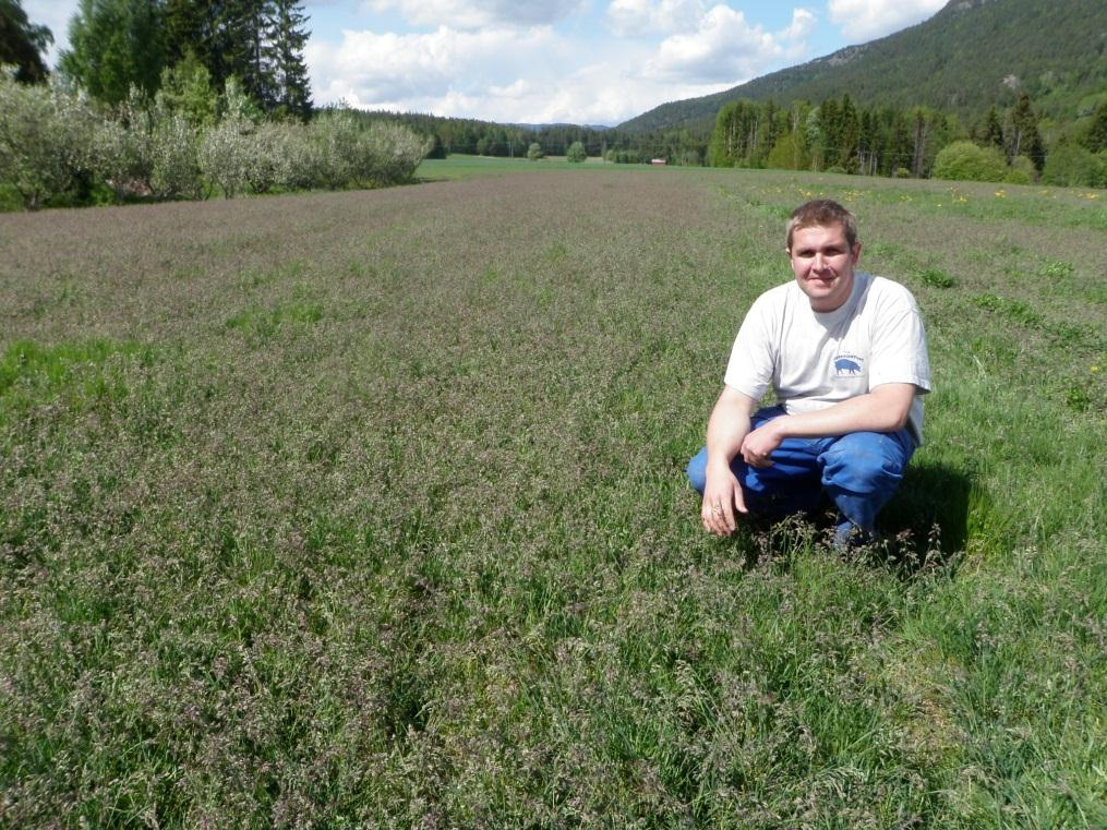 Bilde 5. Jon Midtbø i fjellrapp 05/L9 (Kvikne, Tynset), 25.juni 2010.