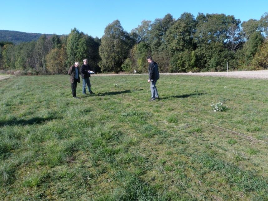 Bilde 14. Befaring i gjenlegg av fjelltimotei 05/32+73 (Ulvik) hos Jon Sæland, 30.sept. i 2010. Foto: Trygve S. Aamlid Resultater Siste bedømming om høsten ble utført 1.