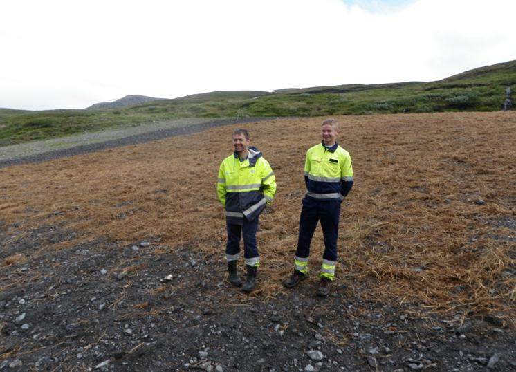 Fjellfrøblandinga hadde etablert seg bra, og det var en klar positiv effekt av mulchen.