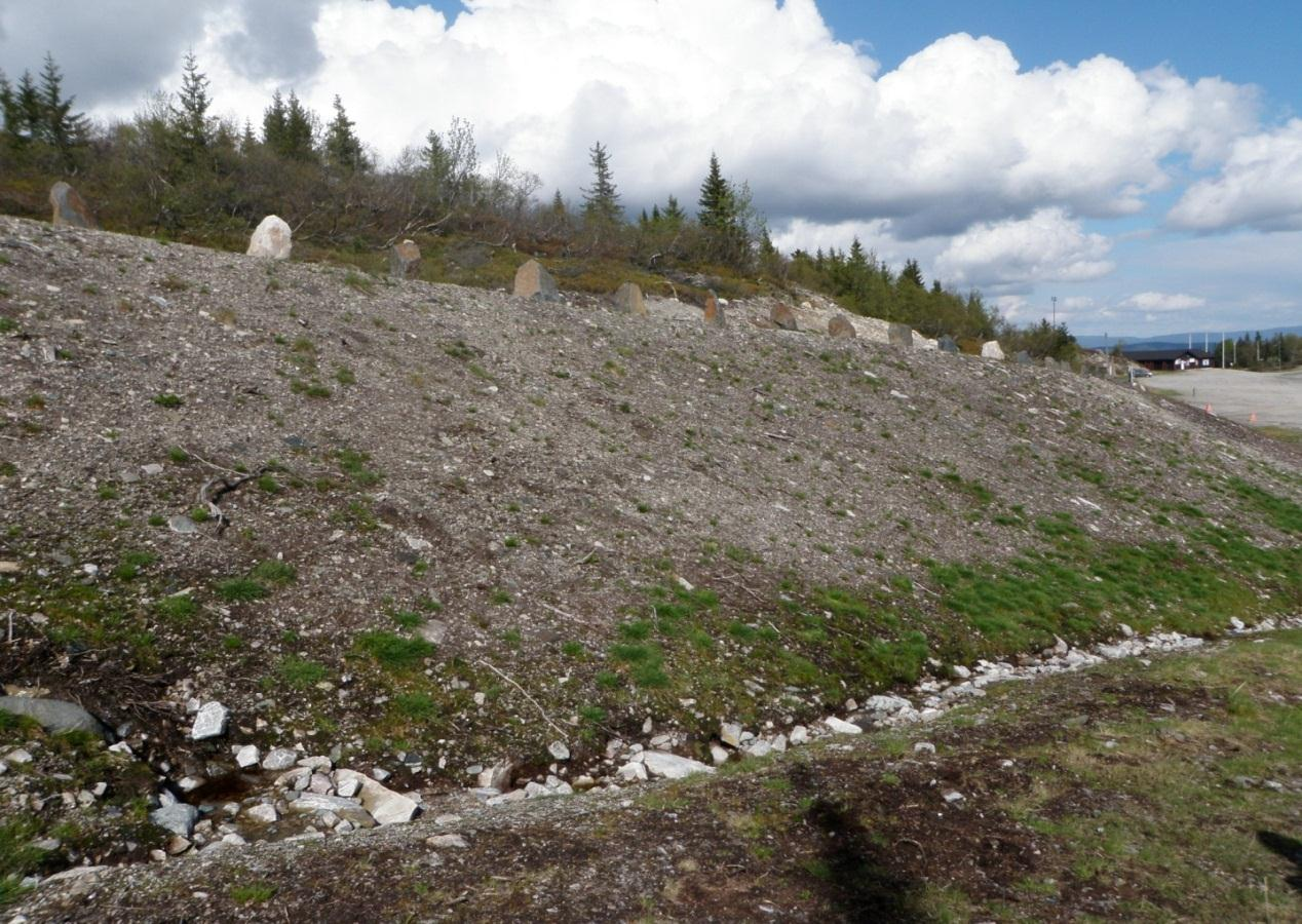 Vegskråning i hyttefelt, Lifjell Ved siden av store aktører som NVE, Statkraft og Forsvarsbygg er anleggsentrepenører og hytteeiere et potensielt marked for fjellfrø.