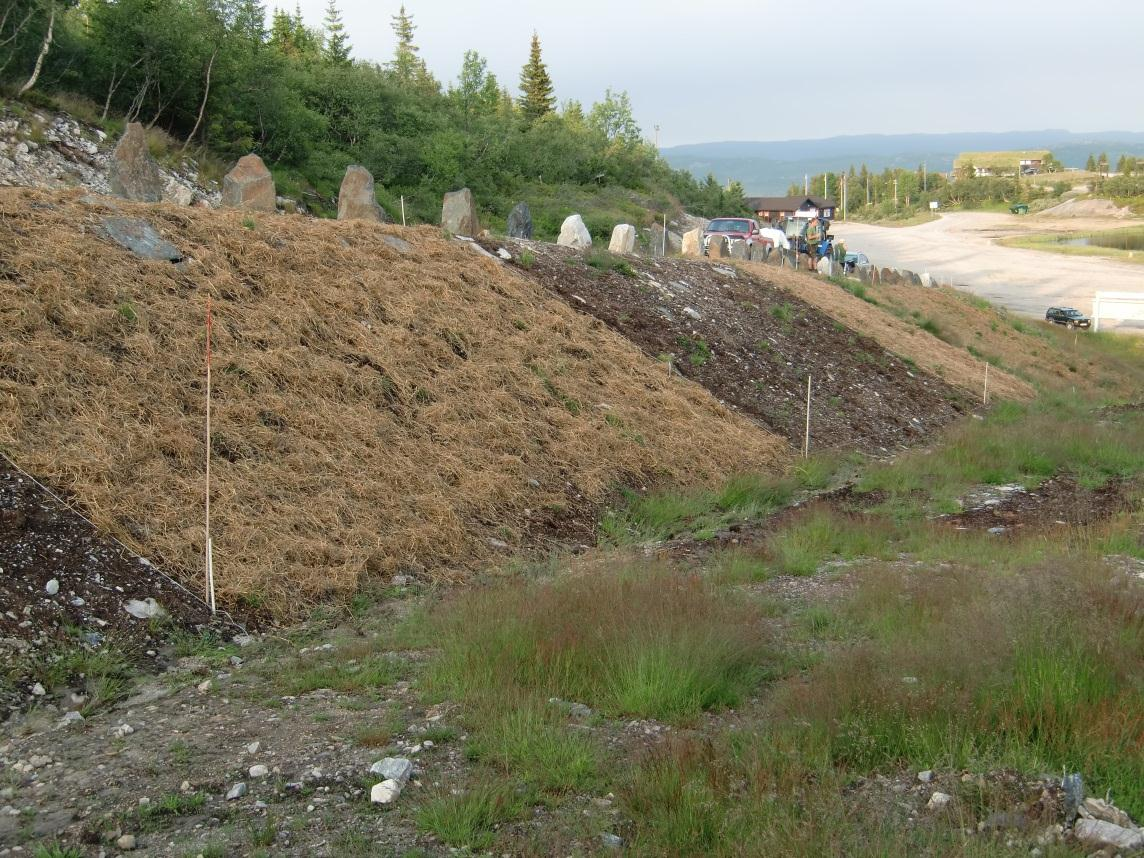 Tilslaget etter såing ble bedømt 30.september (Bildene 33-35).