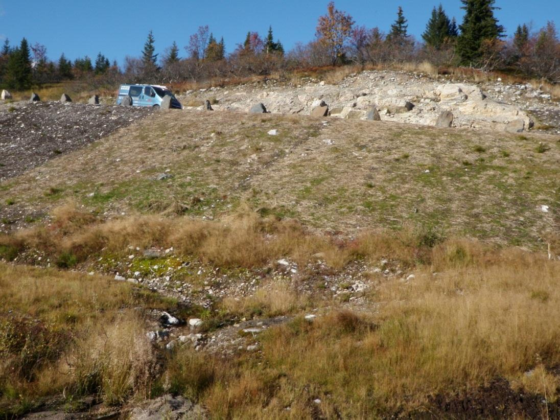Bilde 35. Fra den nederste storruta med mineraljord i toppsjiktet, 30.sept. 2010. Norsk frø til høyre og utenlandsk frø til venstre. Lengst til venstre ruta med organisk jord og ingen såing.