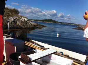 Kondisjonsfaktor for bergnebb ble kalkulert for hvert fangstområde (Figur 5).