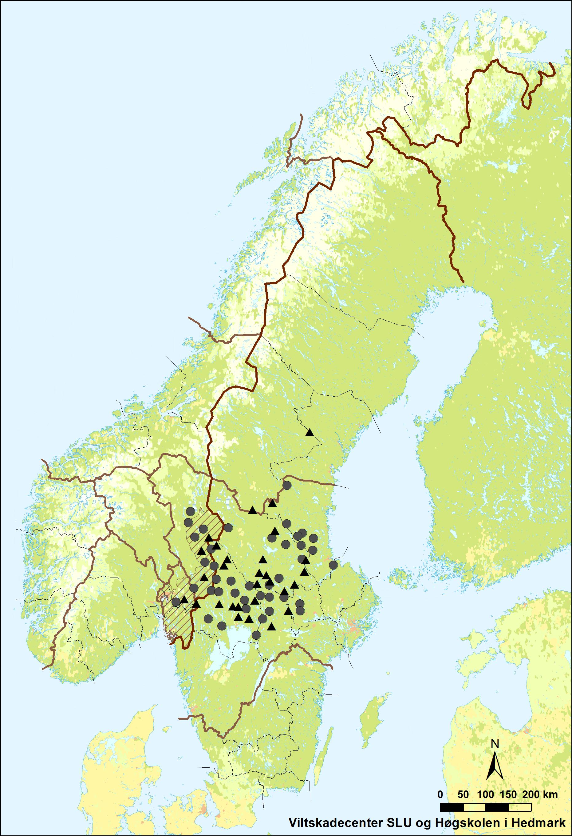 Figur 1. Registrerte familiegrupper (sirkel) og revirmarkerende par (trekant) i Skandinavia vinteren 2015-2016.