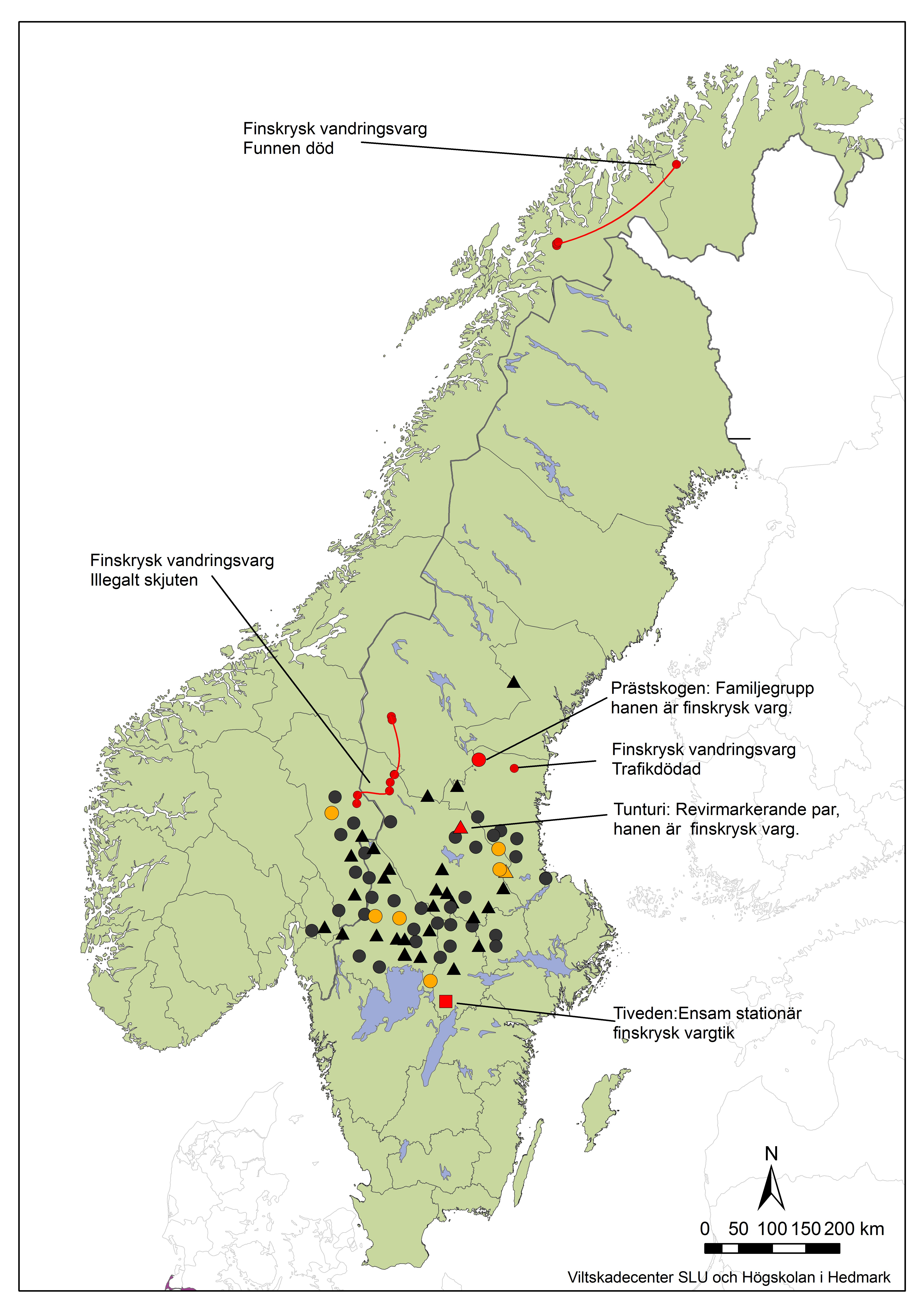 Figur 4. Familjegrupper (prick) och revirmarkerande par (trekant) av varg vintern 2015-2016.