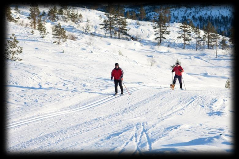 Man trenger ikke å være alpinist for å trives på Gautefall!