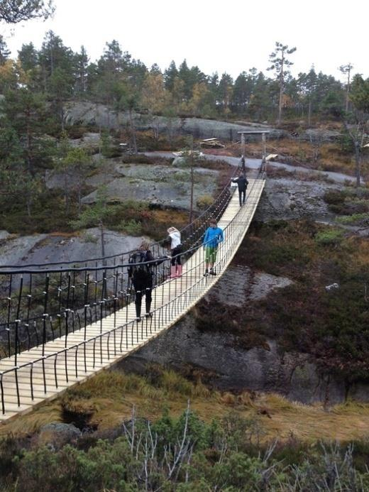 du skal handle mat eller trenger flere tjenester enn det