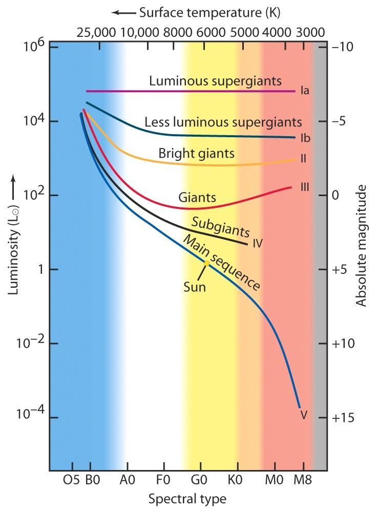 Luminositetsklasser: - Sterke superkjemper Ia - Superkjemper Ib - Sterke kjemper II - Kjemper III -