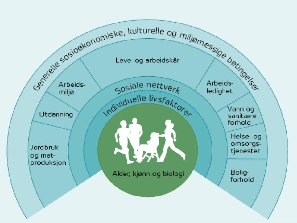 Stavangers folkehelseplan Hovedmål: Utjevning av sosial ulikhet i helse Fire satsingsområder: Gode bo- og nærmiljøer Mestring og gode levevaner i småbarns- og skolealder Levevaner som bidrar til god