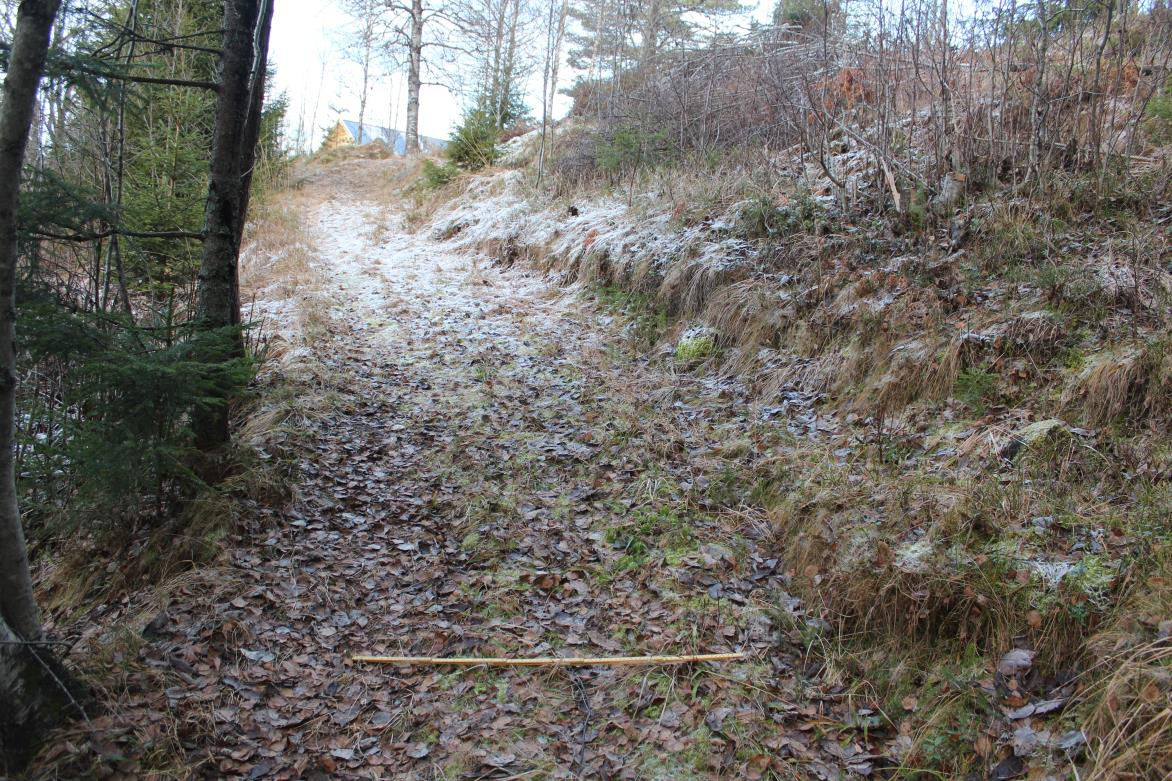 østlig del av flaten er bevokst med unge løvtrær. Det er usikkert om flaten har vært dyrket eller blitt ryddet for beite.