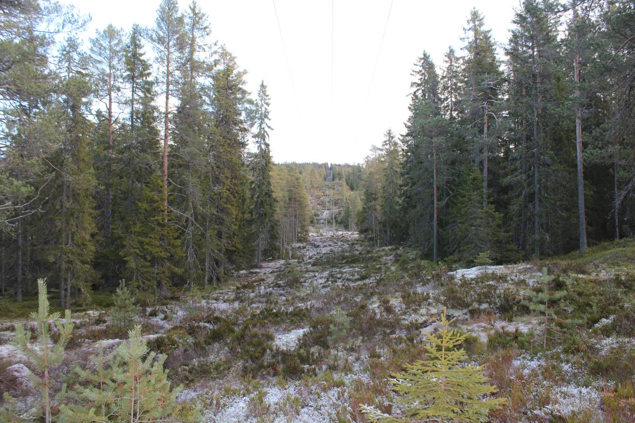 Berørte gårder Oversikt over gårder berørt av reguleringsplanen ØK-kart Gårdsnr. /-navn. Bruksnr.