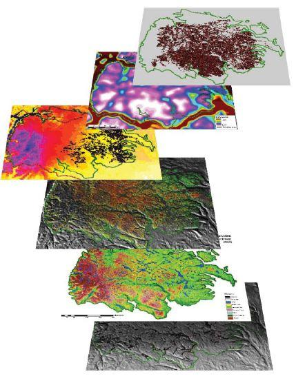 Figur 5: Eksempel på hvordan ulike datalag (fra nederst til øverst; topografi og referansedata, beitekart, estimert biomasse i lavbeitene, snømengde, samla menneskelig påvirkningsgrad og GPS data fra