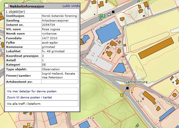 observert i skråningen ned mot Norfloor, rett på utsiden av planområdet. Anleggsarbeidet vil sannsynligvis ikke komme i kontakt med disse.