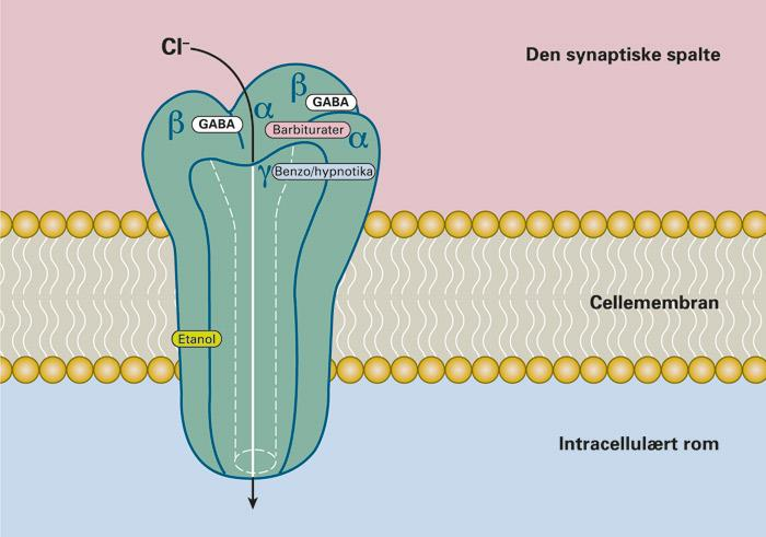 Figur 1: GABAA-reseptoren med bindingssete for benzodiazepin, z-hypnotika, alkohol og barbiturater GABA A - reseptoren med bindingssete for benzodiazepin, z-hypnotika, alkohol og barbiturater [10,