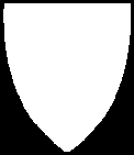 kommune Risiko- og