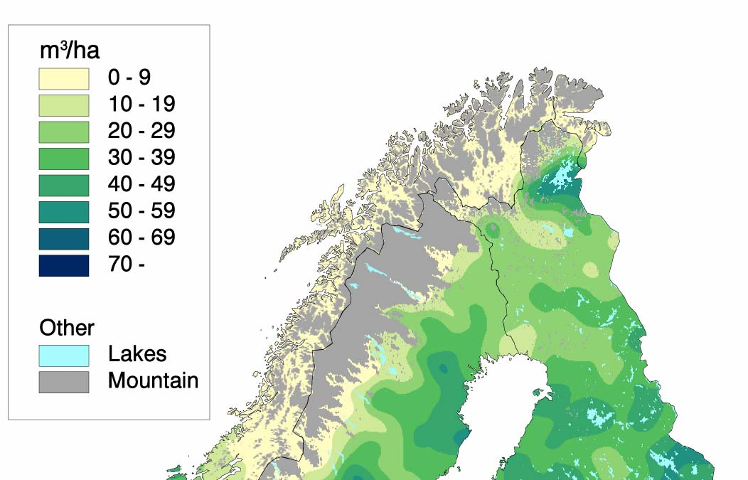 Furu, geografisk fordeling av volum Figuren viser volum av furu i Fennoskandia.