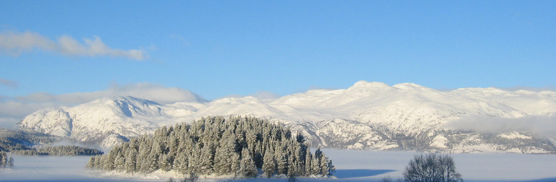 3 PARALLELT PÅGÅENDE PLANPROSESSER revisjon av regionalplan for Hardangervidda KAMPEN OM FJELLET Om