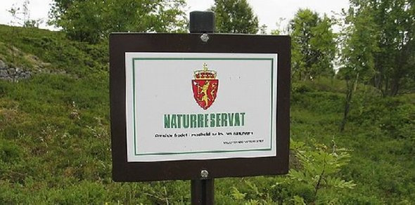 NATUREN KUNNSKAP En hegemonisk forståelse av natur Dette er natur som i liten grad er preget av det moderne