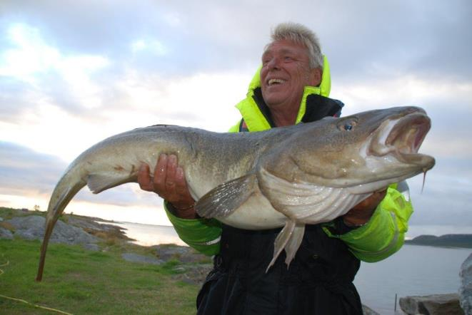 reiseliv og næringsutvikling Sandnessjøen Camping, Steiro Belsvåg gård Tømmervika opplevelsessenter-kajakk og andre utendørs aktiviteter (figur 4) Offersøy camping hytter/caravan/fisketurisme (figur