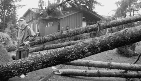 Styrets befaringsreise til Tinn og Tønsberg 13. og 14. august 2002 v/ styremedlem Åse Egeland Tema for reisen var stormskader på skog og skader i strandsonen. Under høststormen 15.