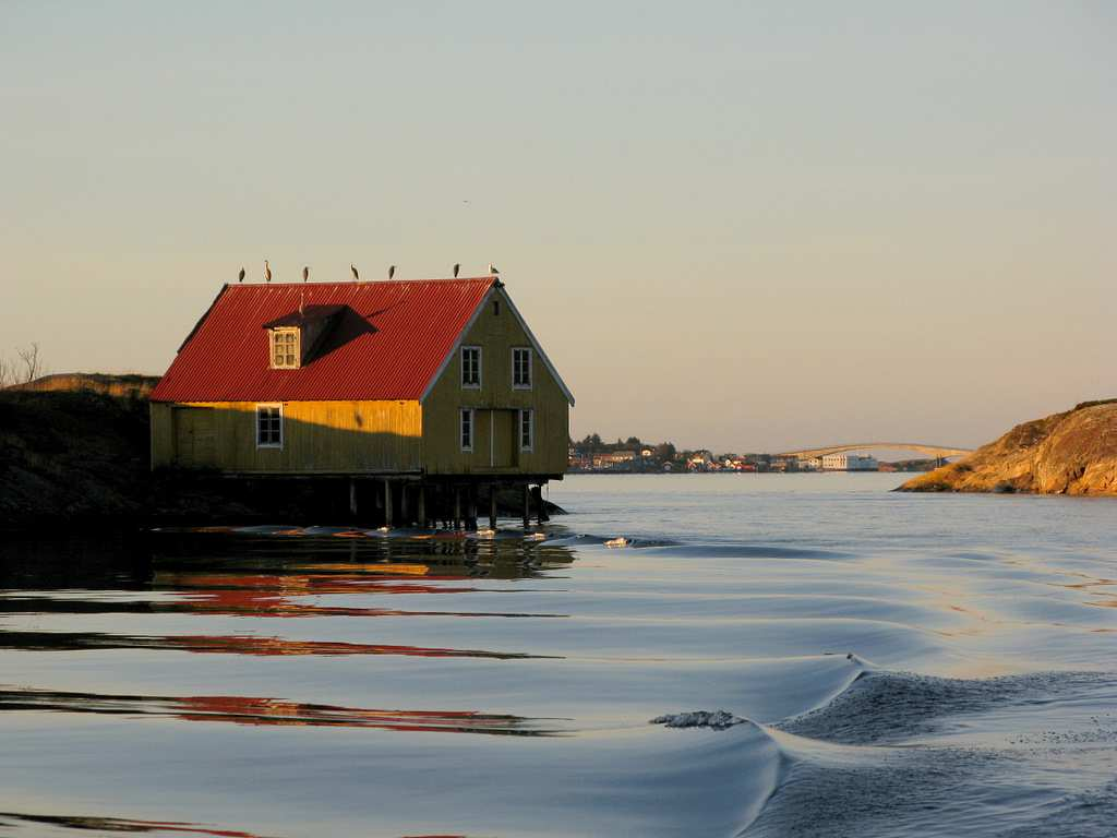 Miljøundersøkelse Ekkilsøy / Nekstadfjorden Averøy, November 2011