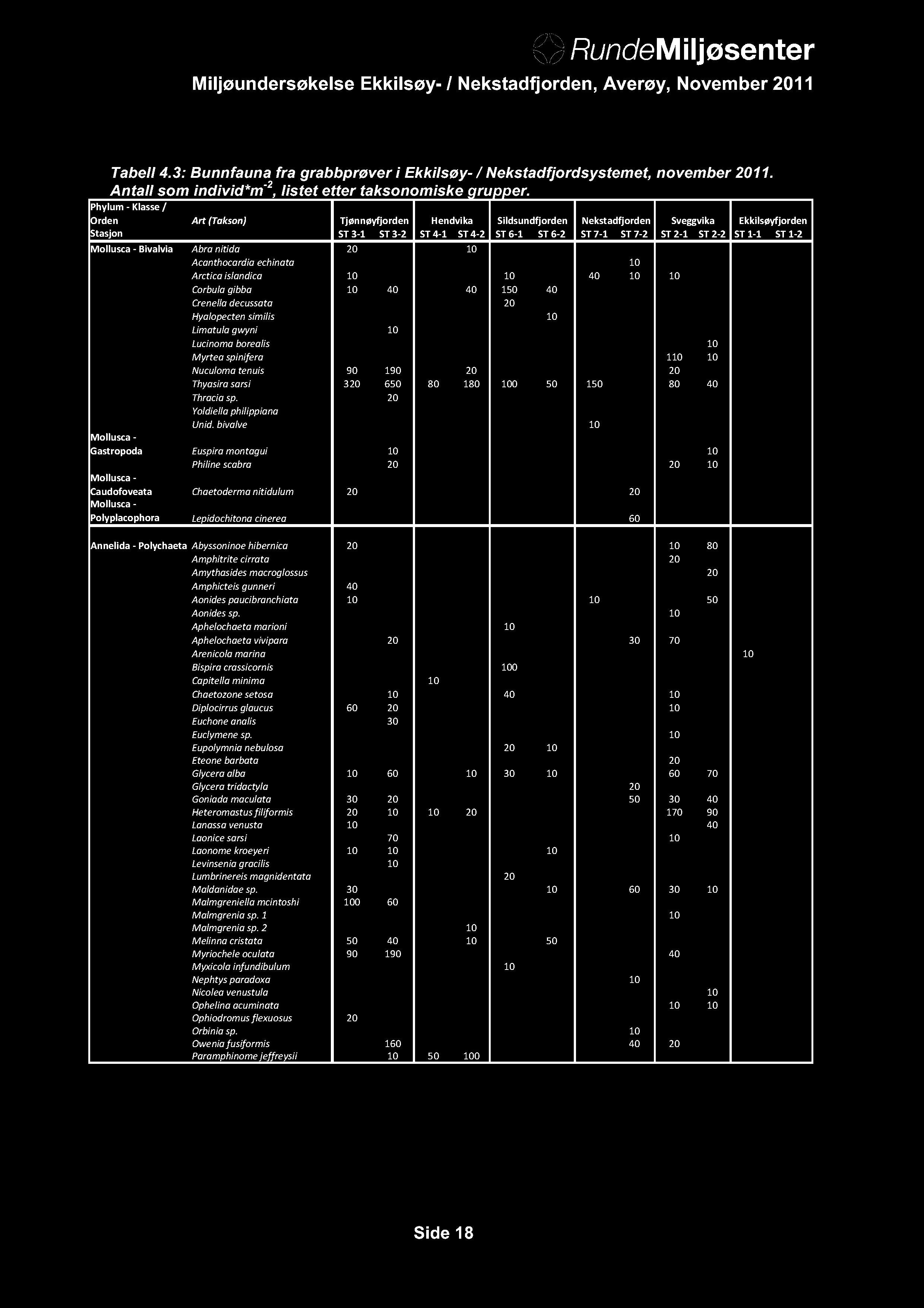 Tabell 4.3: Bunnfauna fra grabbprøver i Ekkilsøy- / Nekstadfjordsystemet, november 2011. Antall som individ*m -2, listet etter taksonomiske grupper.