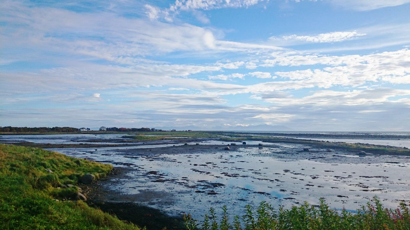 De grunne sjøområdene rundt øya gir en temmelig betydelig littoralsone, hvor store arealer særlig nord og sør/sørvest for øya blottlegges ved fjære sjø.