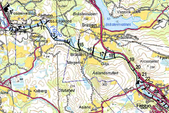 1.3 Prosjektgjennomføring Prosjektet er gjennomført under ledelse av NVE med Gjesdal kommune som bidragsyter og