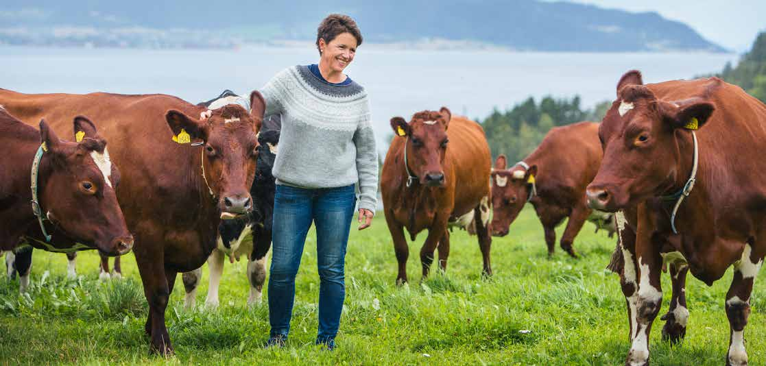 ØKOLOGI I TINE I TINE er det økologiske landbruket en viktig alternativ drifts form og en verdifull læringsarena for bærekraftig landbruk.