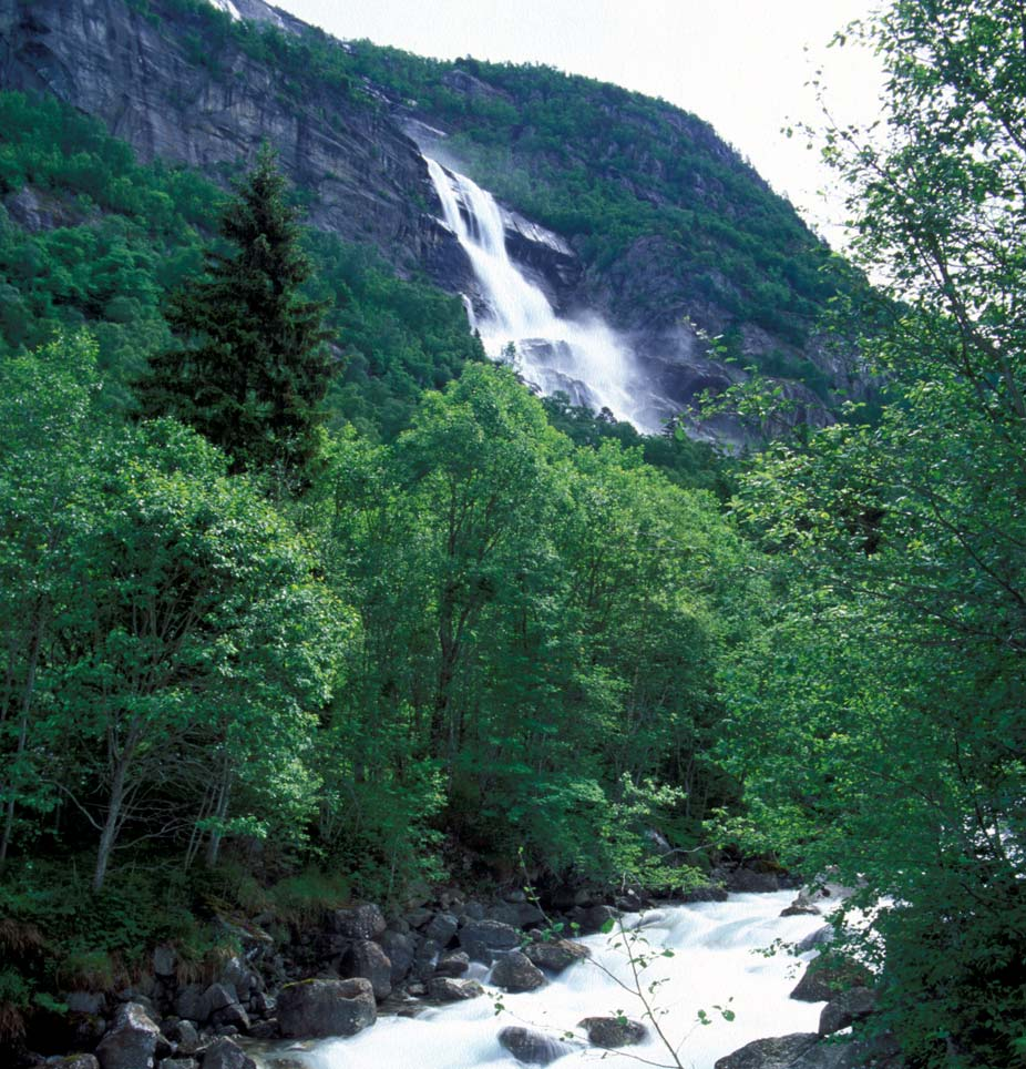 Figur 2. Foss som landskapselement (Foto: Arne T. Hamarsland). Sårbare høyfjellsområder Den norske høyfjellsnaturen karakteriseres av åpent storlandskap med lite vegetasjon.