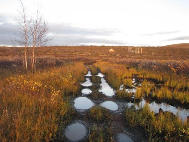 6 Opprusting av nedfalls-gamme ved Jiertafossen Omfatter opprusting av