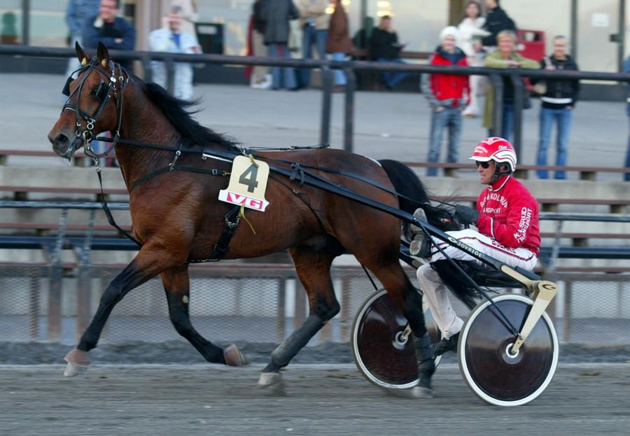 NORVELOUS HANOVER (US) : 998 Regnr.: US-TB 4 Farge: brun Høyde: 6 cm Eier: Bjørn Kolsrud 69 Oslo Oppdretter: USA Hingsteholder: Magne Olsen Kvenildstrø Gård 77 Heimdal Tlf 9 65 78 Pris :.,- +.