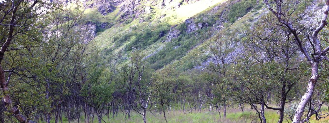 5. NATURGITTE FORHOLD Skarvbergvika ligger på østsiden av Porsangerhalvøya nord for Smørfjord. Vika har nordøstligsørvestlig retning og strekker seg vel en kilometer innover mot fjellet.