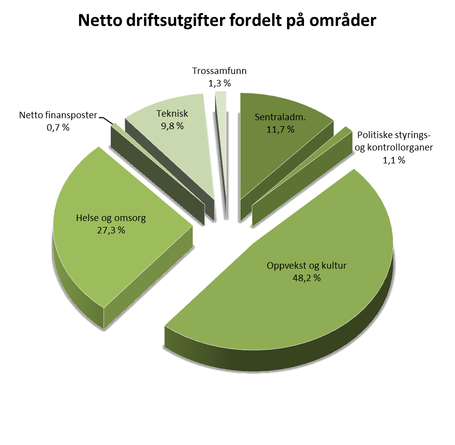 Figuren til høyre viser at områdene Oppvekst og kultur (48,2 %) og Helse og omsorg (27,3 %) er de største områdene målt i netto driftsutgifter.