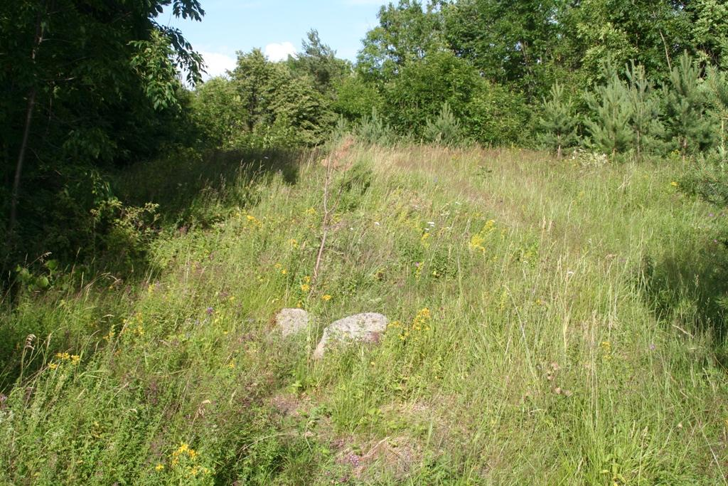 Figur 18 Dragehodelokalitet på sandtørreng.