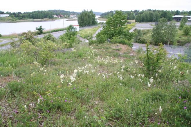 1) Langoddveien N (16) Avgrensing Langoddveien N er valgt avgrenset slik at hele kollen er med. Grensene følger vei på alle sider unntatt nordsiden, der den er strukket et stykke nedenfor gjerdet.